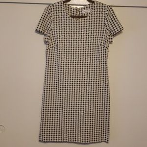 Calvin Klein Shift Dress